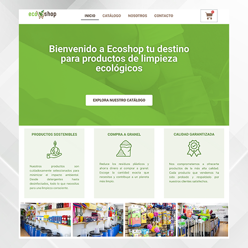 pag web 5